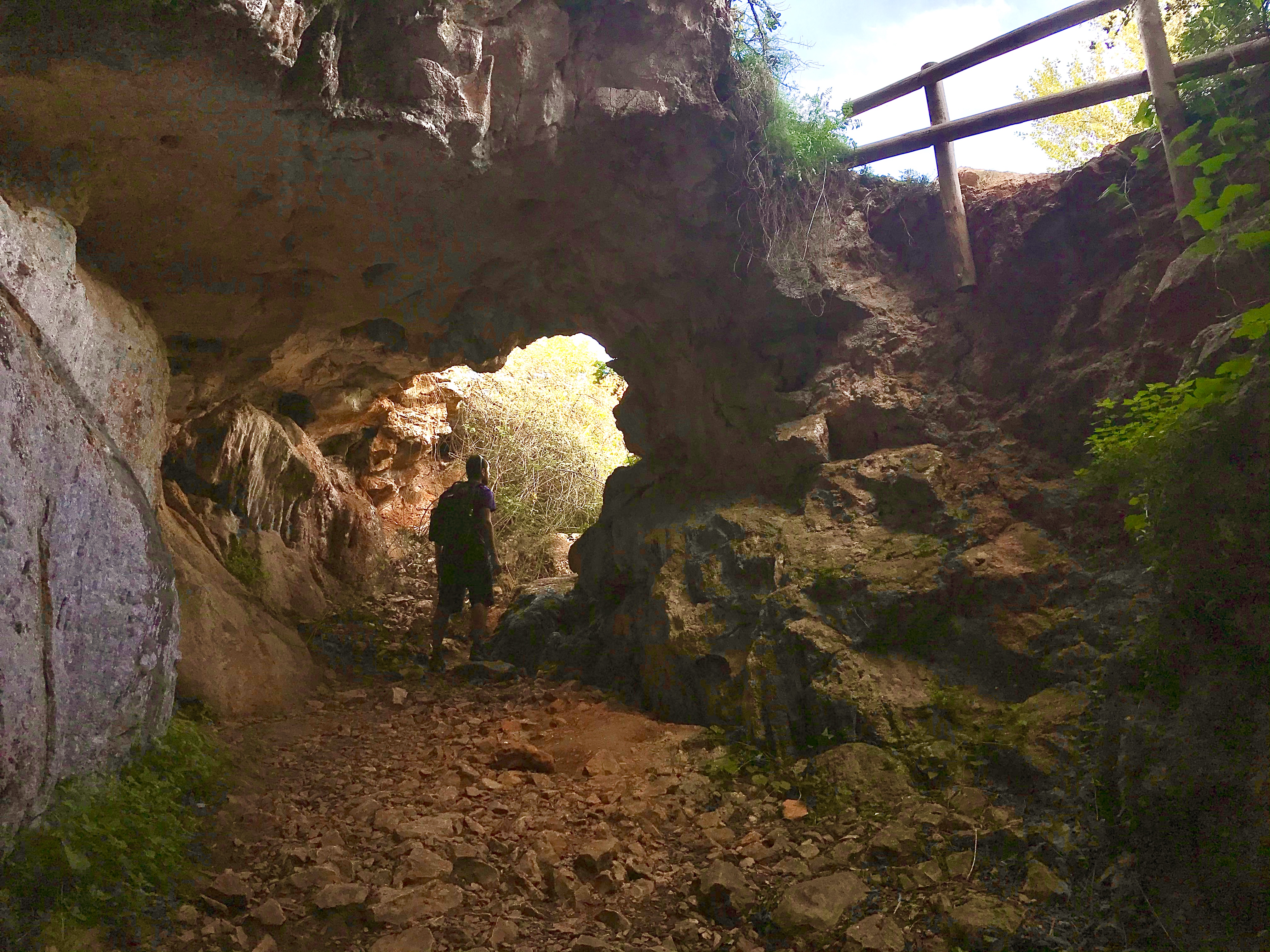La cova del gamell