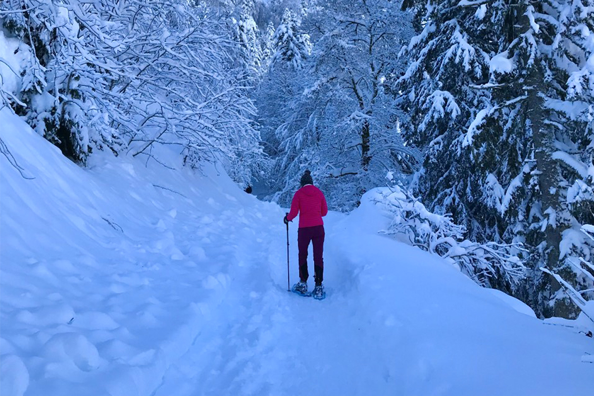 Randonnée-en-hiver